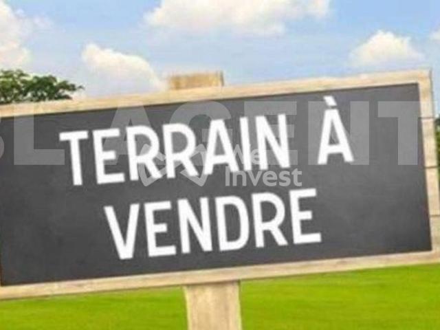 Videlles Vente Terrain 91