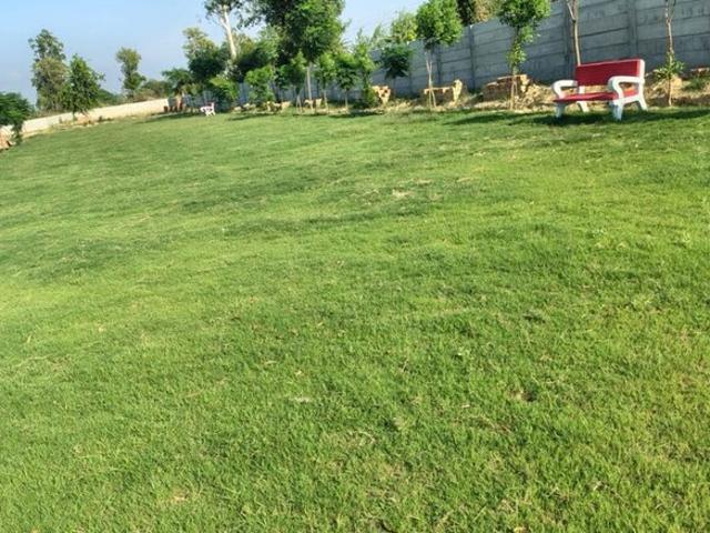 Vidhi Estate 1121 Sq.Ft. Plot in Sultanpur Road Lucknow Listing ID: #10011