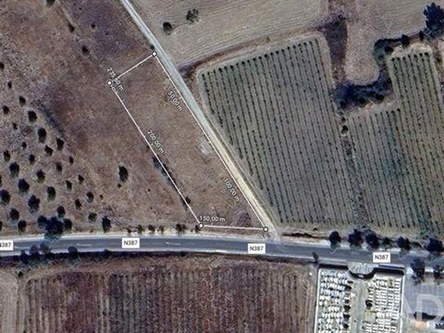Vidigueira Beja 96891275