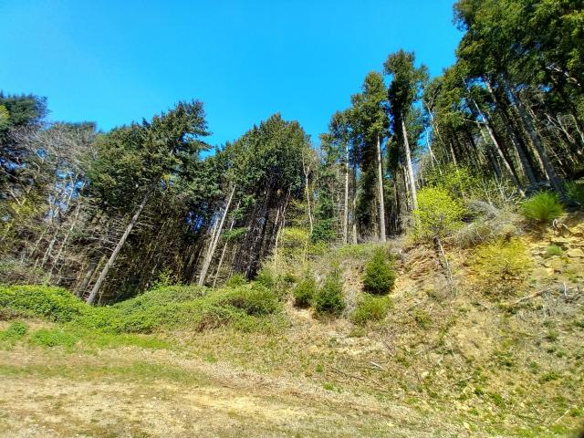 Vieussan Vente Terrain 34