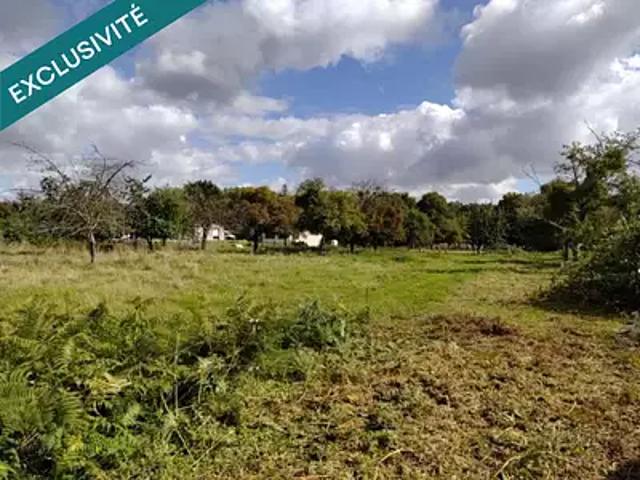 Vieux Viel 35610 Achat / Vente terrain