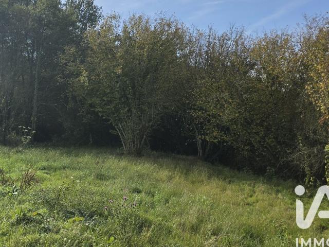 Vieux Vy sur Couesnon Vente Terrain 35