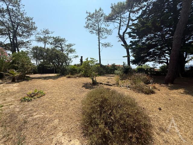 Vieux Boucau les Bains Vente Terrain 40