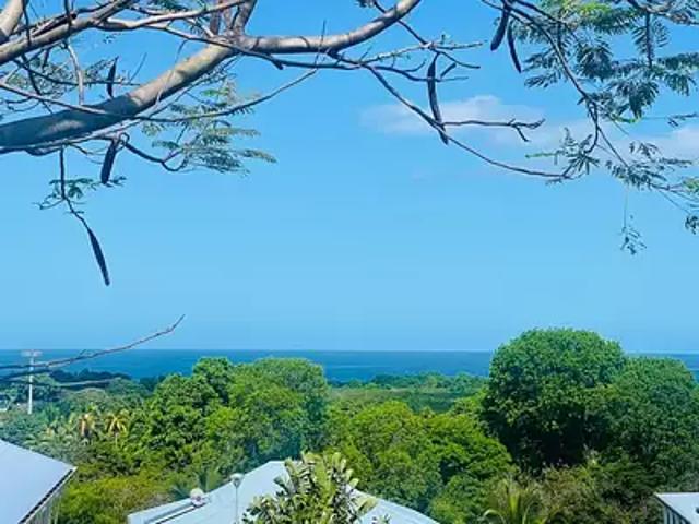 Vieux Habitants 97119 Achat / Vente terrain