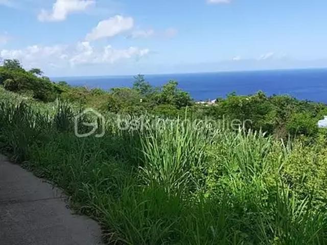 Vieux Habitants 97119 Achat / Vente terrain