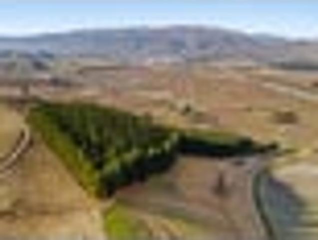 Views Across Orchards & Hills