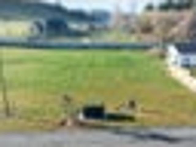 Views and opportunity in Matai Ridge