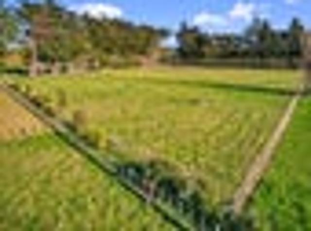 Views, Space & Lifestyle Opportunity