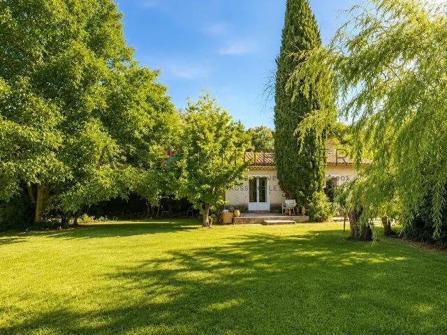 Vie de campagne à seulement 3 km de Saint Rémy de Provence