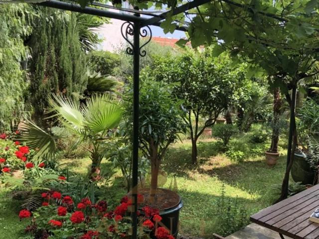 Vieil Antibes – Nue propriété d'exception dans immeuble bourgeois | Placement patrimonial sécurisé
