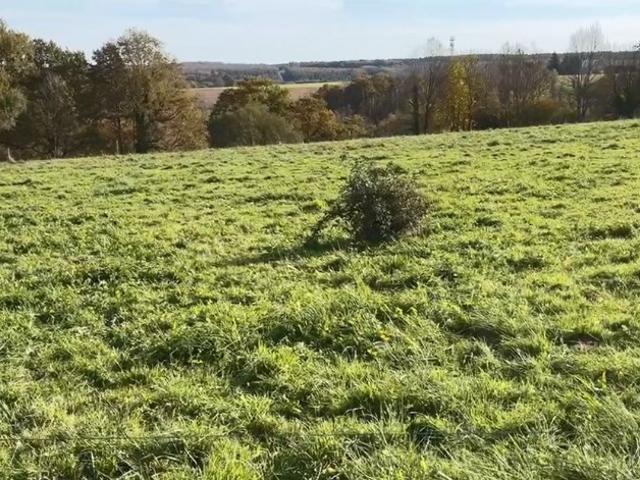 Vieillevigne Vente Terrain 31