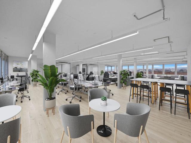 Viel Open Space plus Sitzungszimmer!