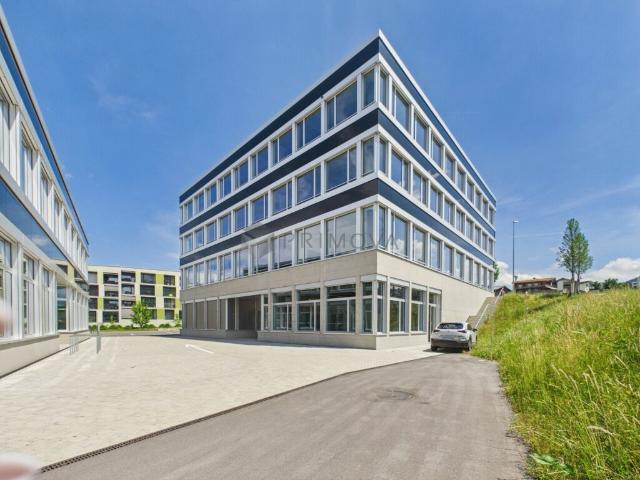 Viel Platz für deine Visionen: Neuwertiger Allrounder Raum im Herzen von Buchrain