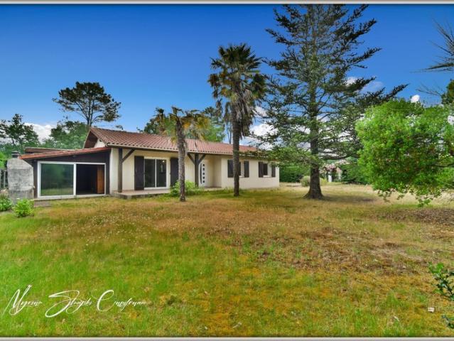 Vielle Saint Girons Vente Maison 40