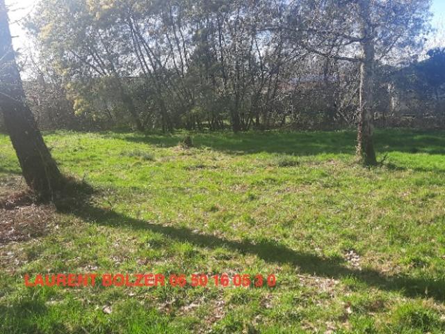 Vielle Saint Girons Vente Terrain 40