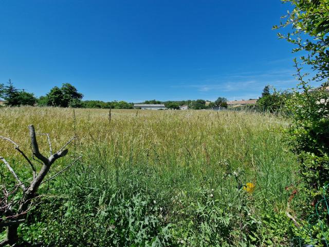 Vielmur sur Agout Vente Terrain 81