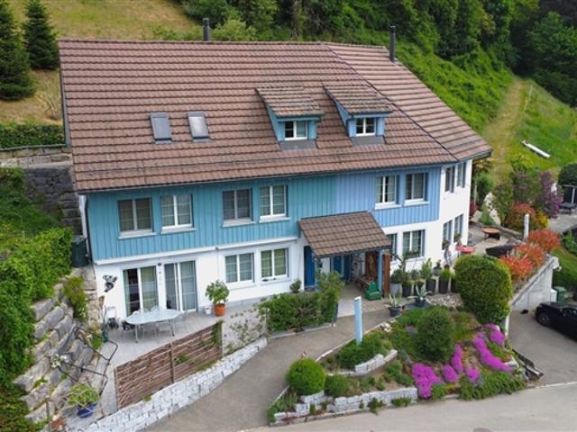 Vielseitiges Doppel Einfamilienhaus mit Studio  viel Platz zum Leben