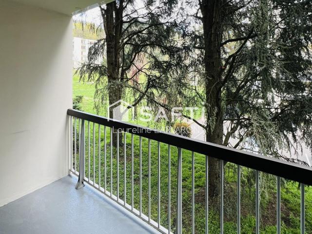 Vienne Vente Appartement 38