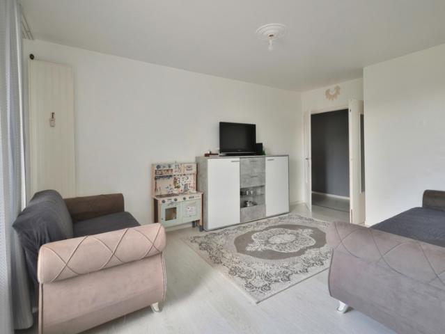 Vienne Vente Appartement 38