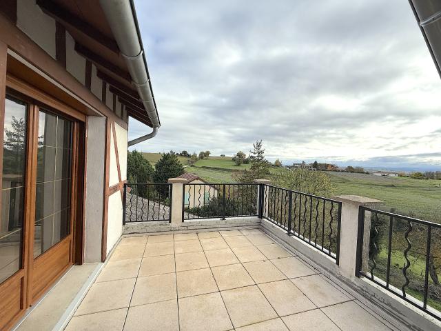 Vienne Vente Appartement 38