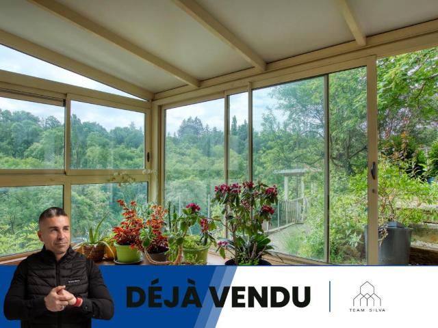 Vienne Vente Villa 38