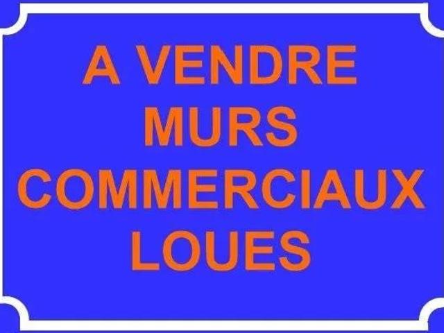 Vierzon Vente Immeuble 18