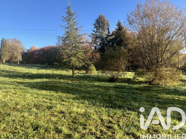 Vigeois Vente Terrain 19