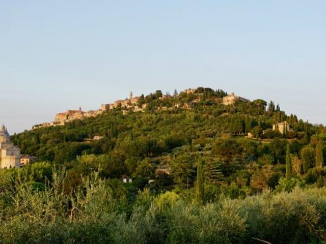 Vigneto in vendita a Montepulciano Siena