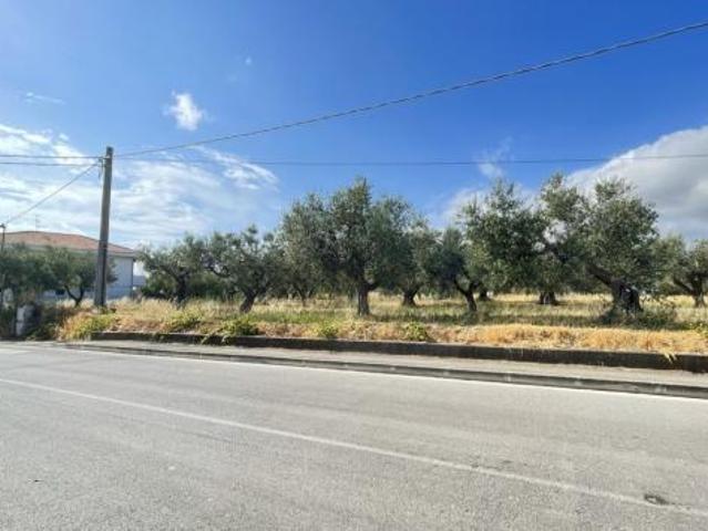 Vigneto in vendita a Silvi
