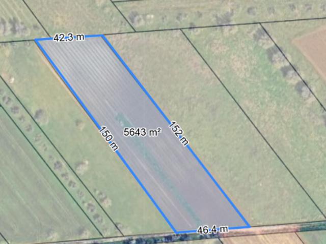 Vigneto 58 are in zona vocata – Pronto per la prossima vendemmia