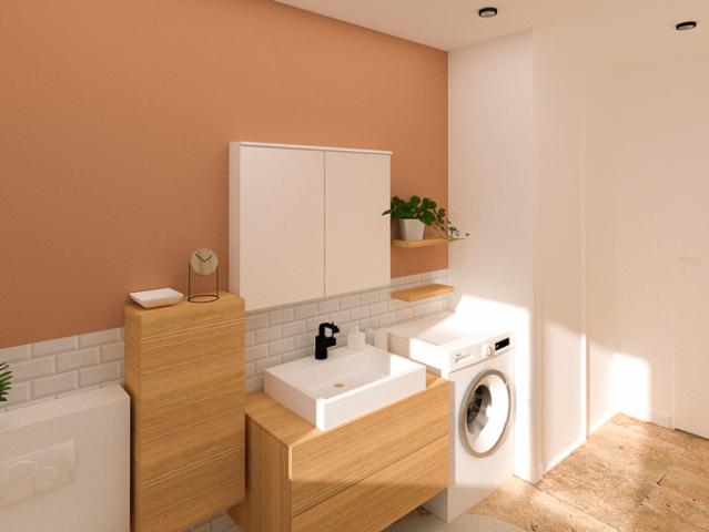 Vigneux sur Seine Vente Maison 91