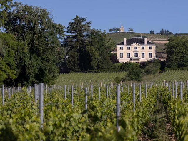 Vignoble
