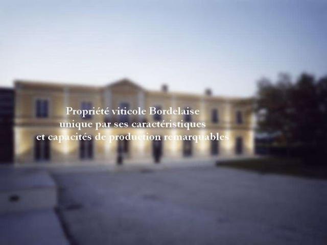 Vignoble