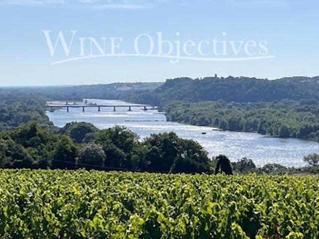Vignoble
