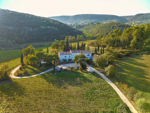 Vignoble