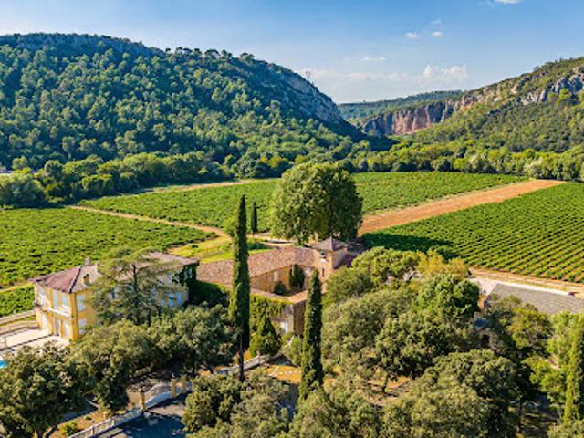 Vignoble