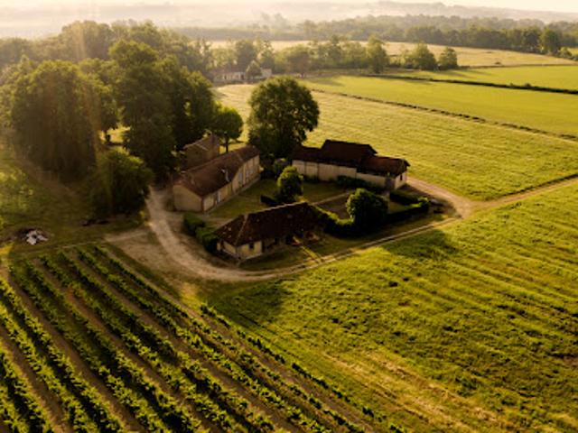 Vignoble