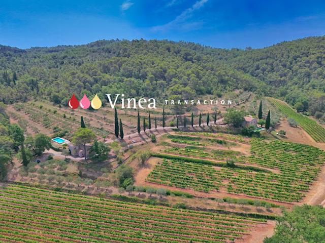 Vignoble