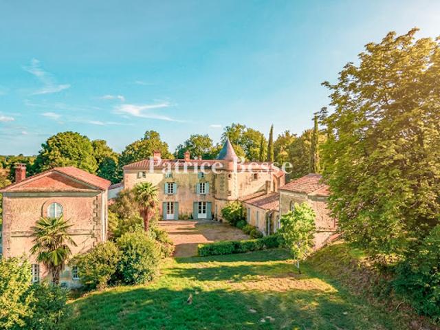 Vignoble