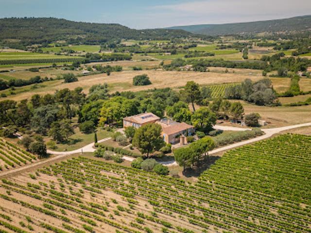 Vignoble