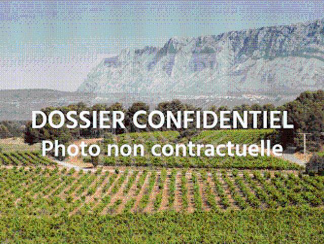 Vignoble