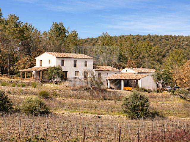 Vignoble