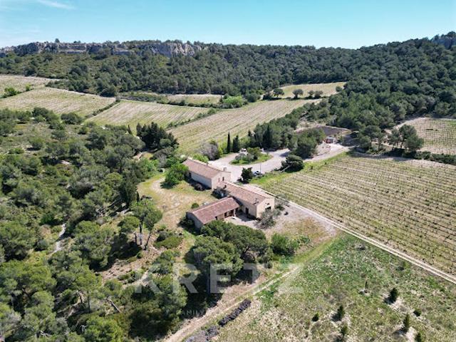 Vignoble