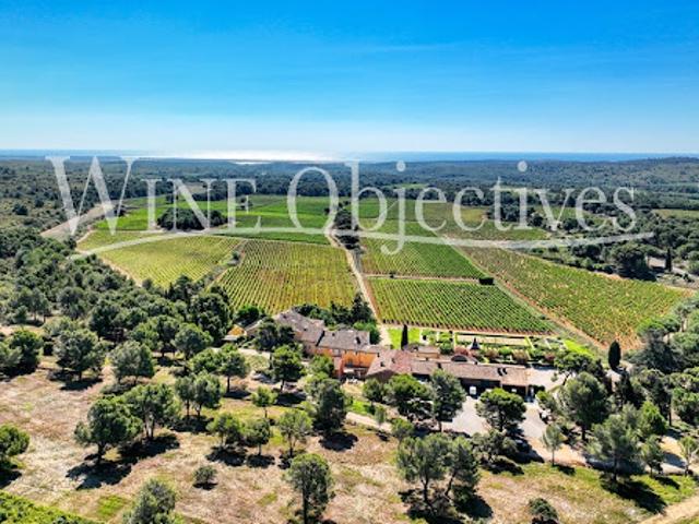 Vignoble
