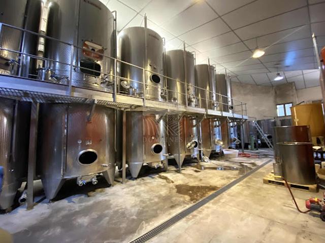 Vignoble