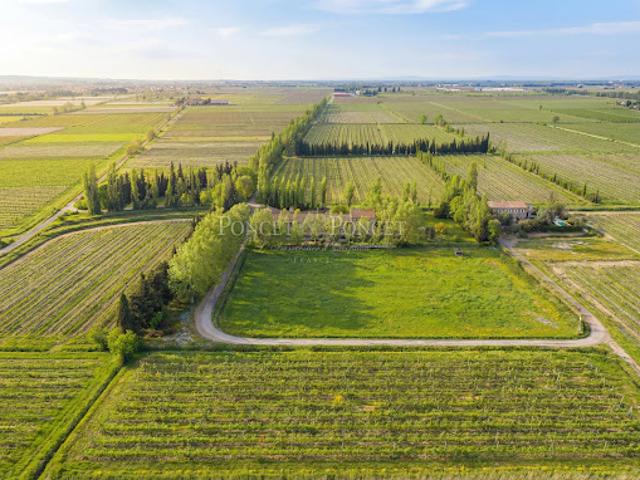 Vignoble