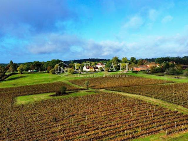 Vignoble