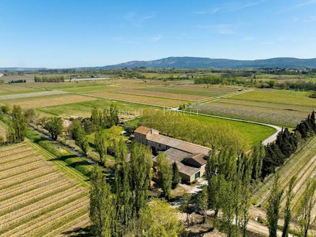Vignoble