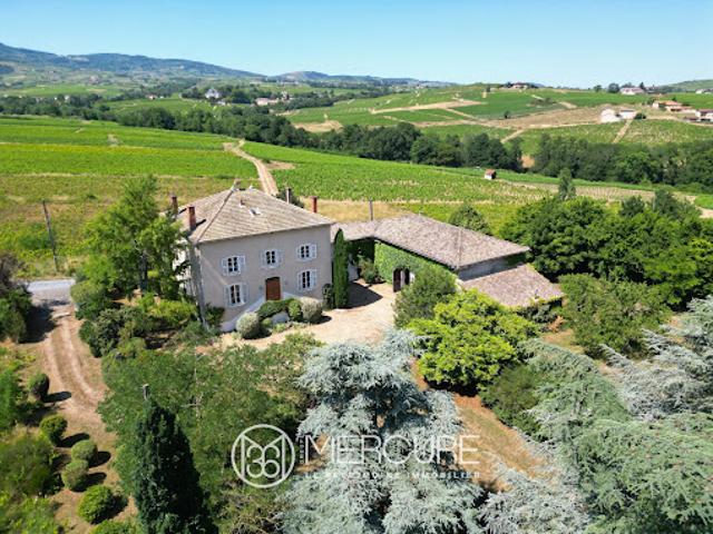 Vignoble avec dépendances