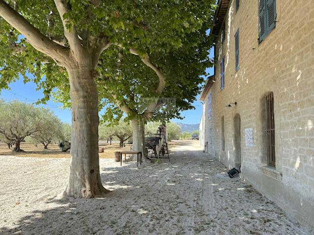 Vignoble avec dépendances